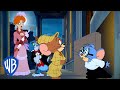 Tom en Jerry - Getting Miss Red to Safety