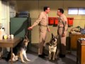 Gomer Pyle USMC - A Dog Is A Dog