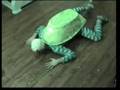 Rembo en Rembo - Harry Turtle