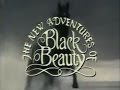 Black Beauty - Breaking In