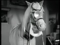 Mister Ed - Ed Goes To College