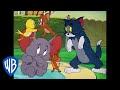 Tom en Jerry - Jerry and His Allies