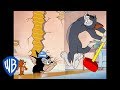 Tom en Jerry - Trapping Jerry