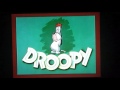 Droopy - Homesteader Droopy
