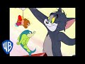 Tom en Jerry - The Fishing Cat