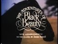 Black Beauty - The Horse Breaker