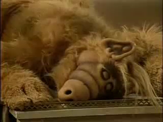 Alf - Episode 1