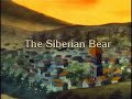 David de Kabouter - The Siberian Bear
